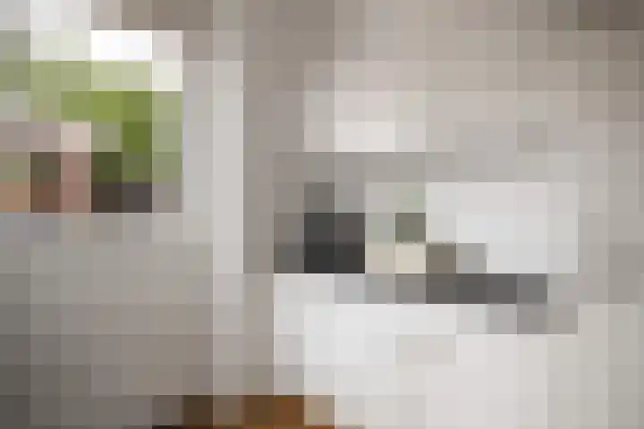 Emmerich Kálmánlaan 1 Utrecht thumbnail 20