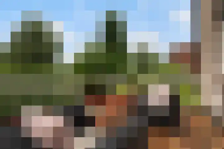 Emmerich Kálmánlaan 1 Utrecht thumbnail 25