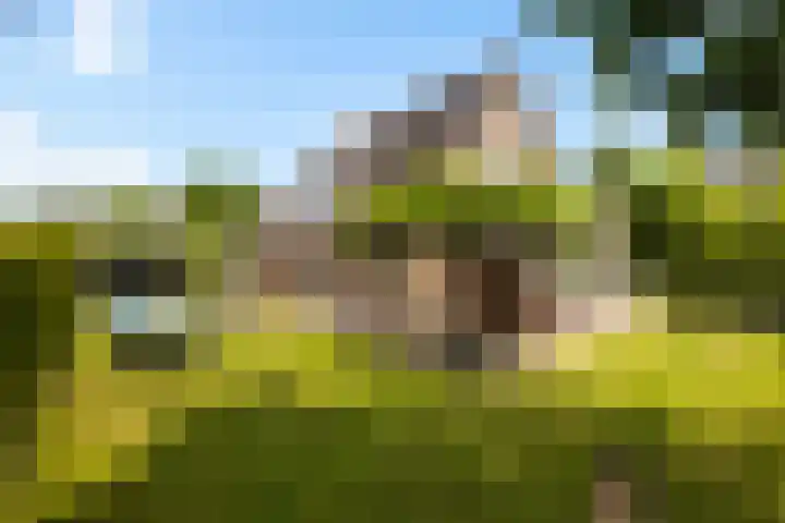 Emmerich Kálmánlaan 1 Utrecht thumbnail 37