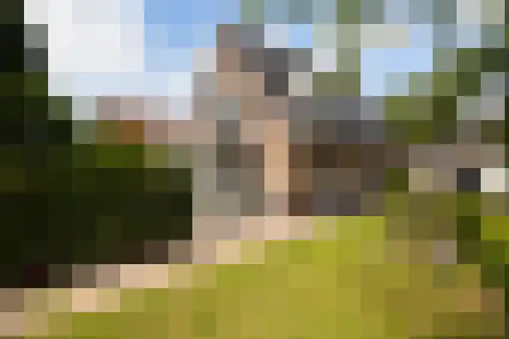 Emmerich Kálmánlaan 1 Utrecht thumbnail 4