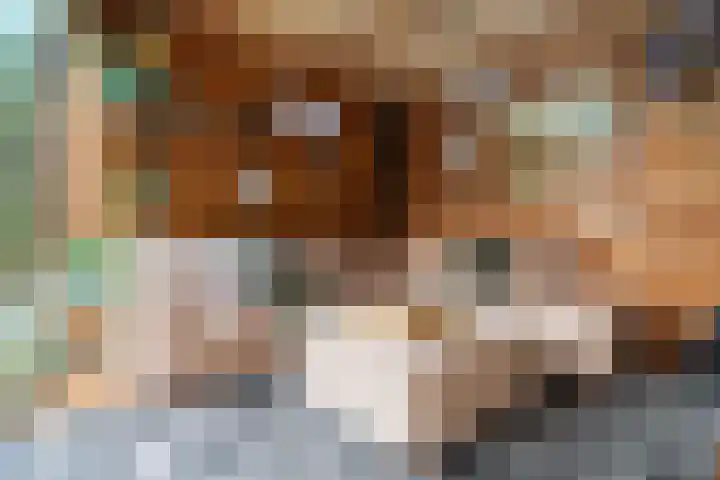 Emmerich Kálmánlaan 1 Utrecht thumbnail 46