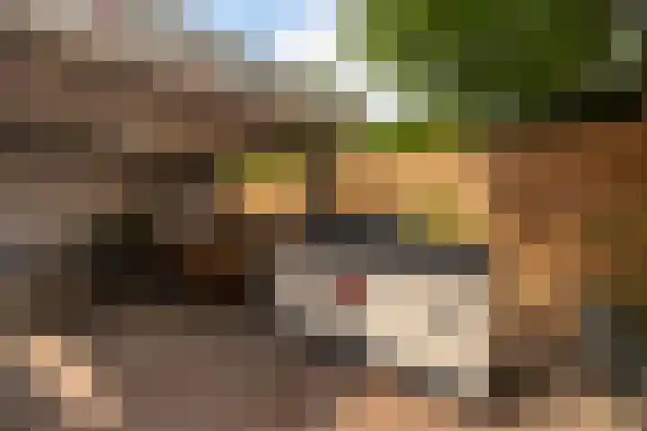 Emmerich Kálmánlaan 1 Utrecht thumbnail 49