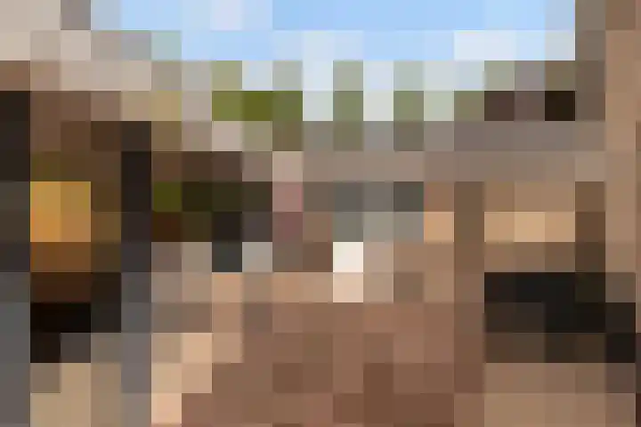 Emmerich Kálmánlaan 1 Utrecht thumbnail 51
