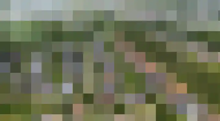 Emmerich Kálmánlaan 1 Utrecht thumbnail 6