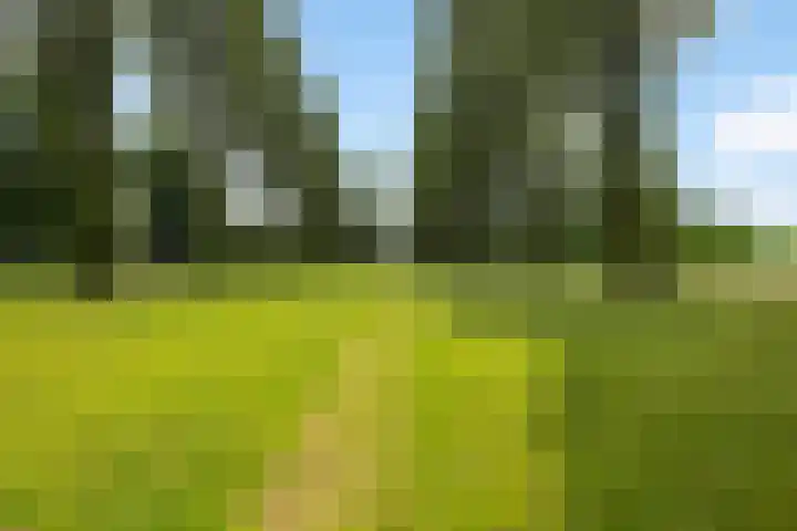 Emmerich Kálmánlaan 1 Utrecht thumbnail 7