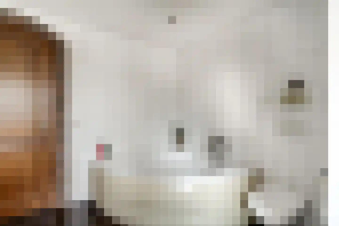 Emmerich Kálmánlaan 123 Utrecht thumbnail 15