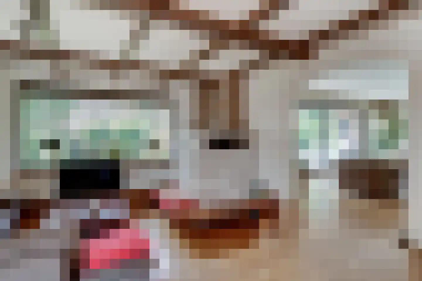 Emmerich Kálmánlaan 123 Utrecht thumbnail 6
