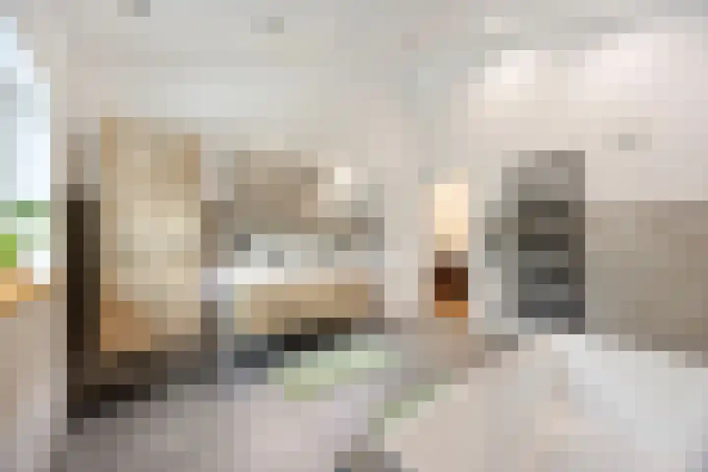 Emmerich Kálmánlaan 16 Utrecht thumbnail 16