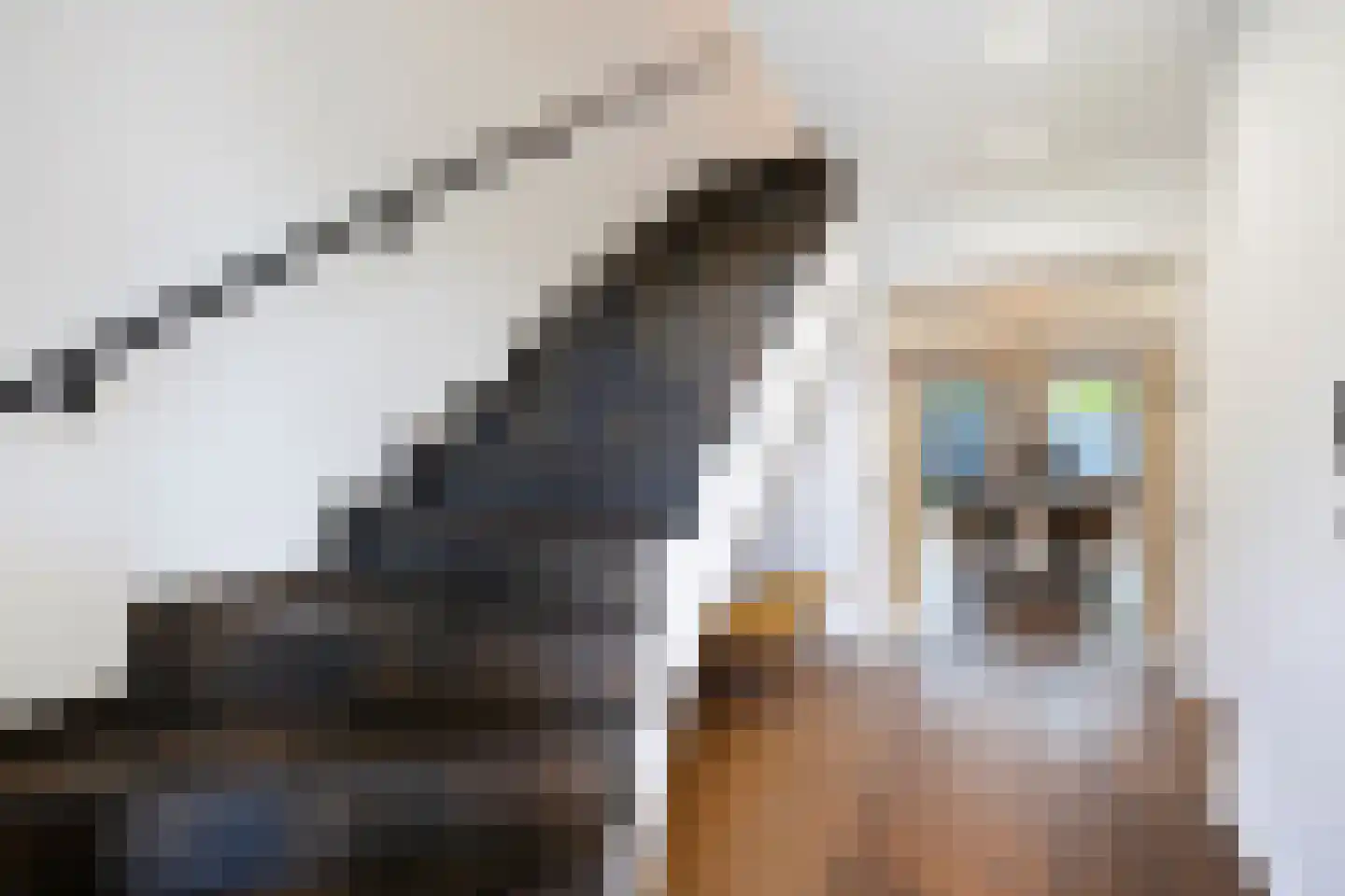 Emmerich Kálmánlaan 16 Utrecht thumbnail 4