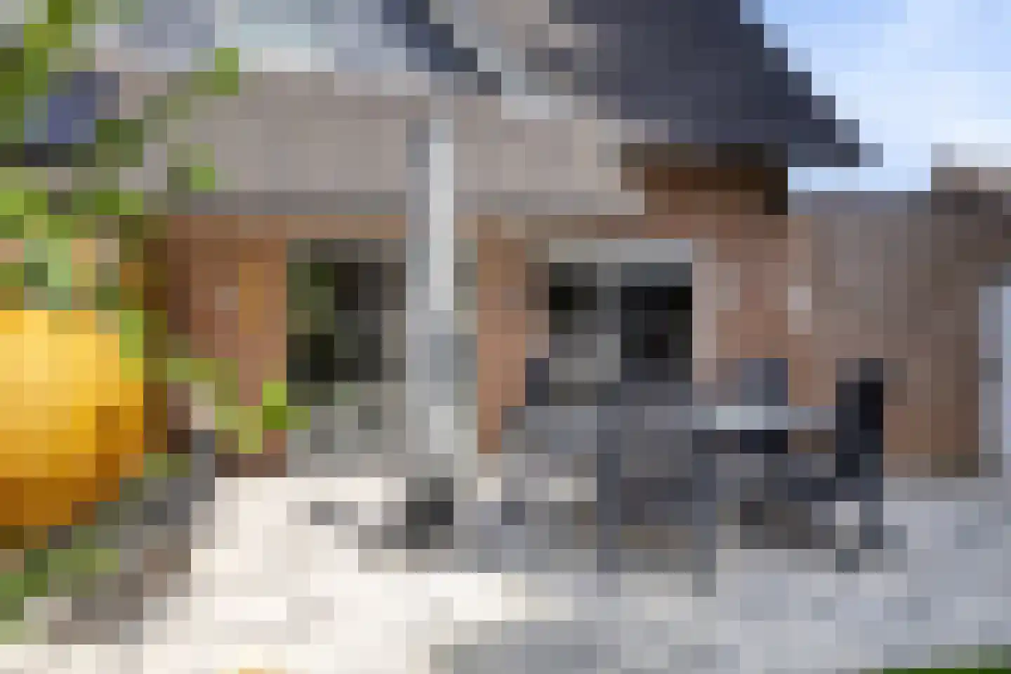 Emmerich Kálmánlaan 25 Utrecht thumbnail 29
