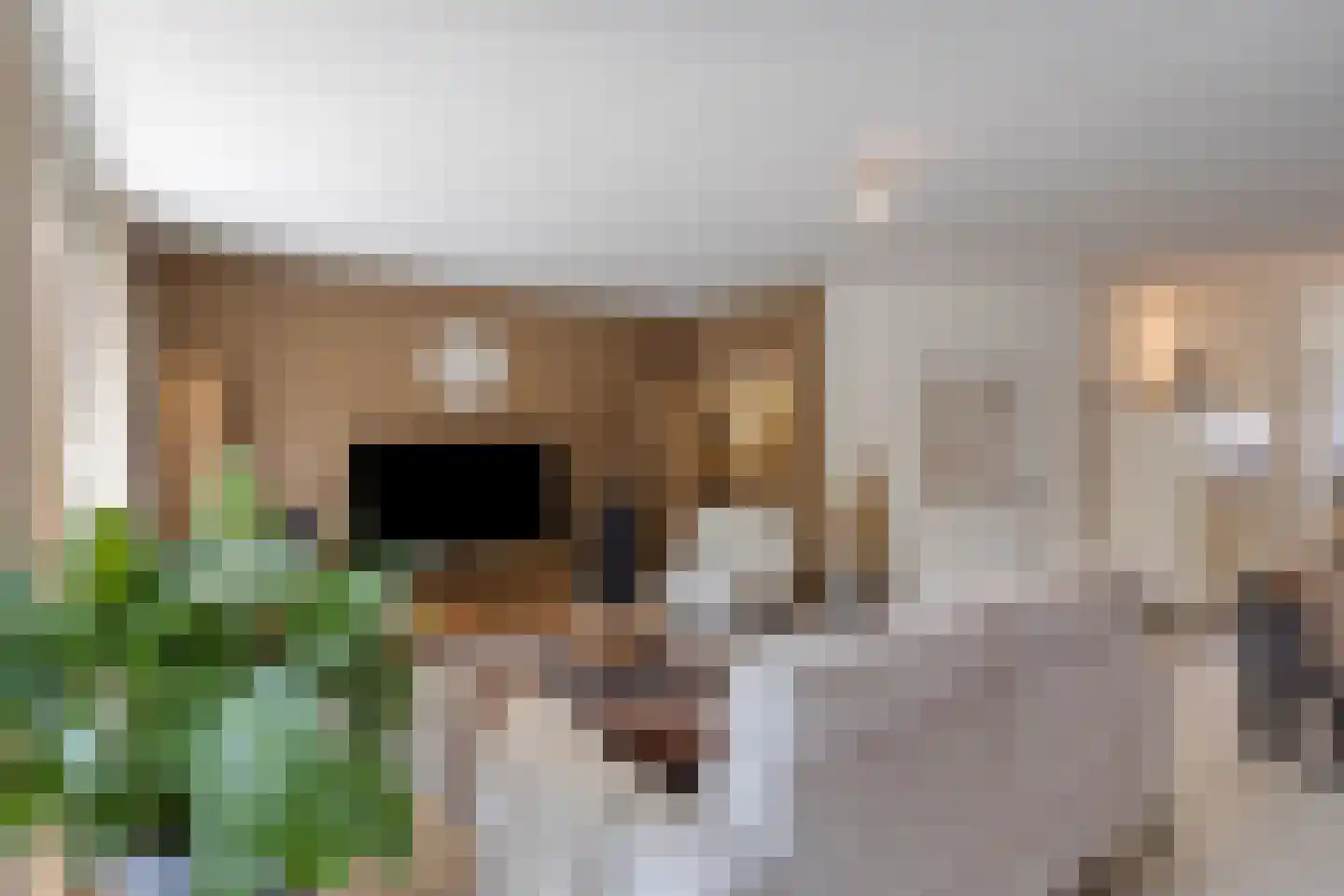 Emmerich Kálmánlaan 25 Utrecht thumbnail 8