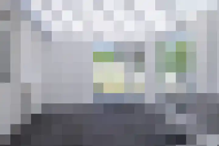 Emmerik 70 Westervoort thumbnail 22
