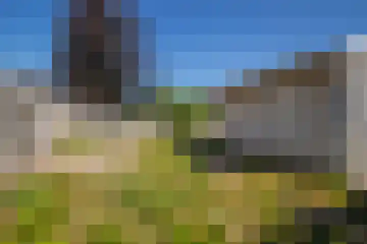 Emmerik 70 Westervoort thumbnail 28