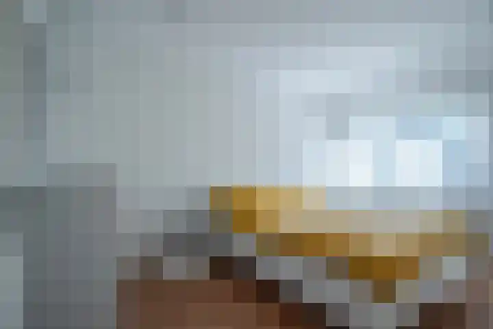 Emmerik 70 Westervoort thumbnail 33