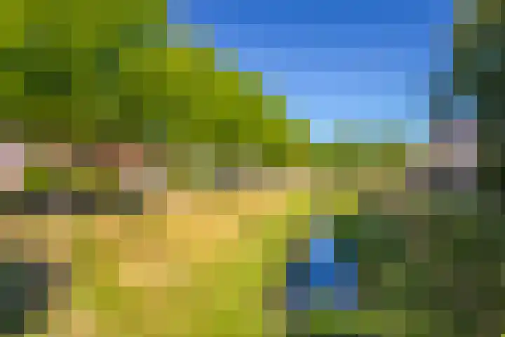 Emmerik 70 Westervoort thumbnail 37
