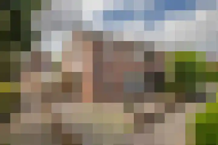 Emmerik 70 Westervoort thumbnail 6