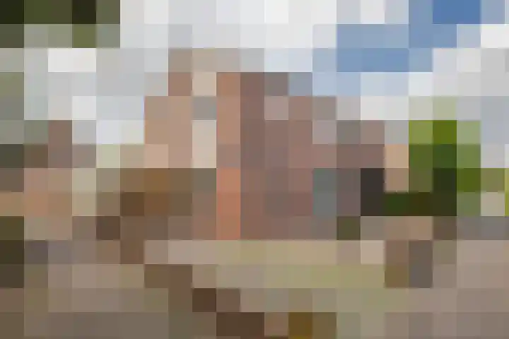 Emmerik 70 Westervoort thumbnail 7