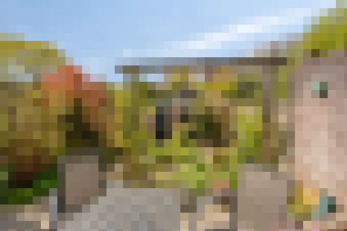 Emmerikseweg 2 c Zutphen thumbnail 38
