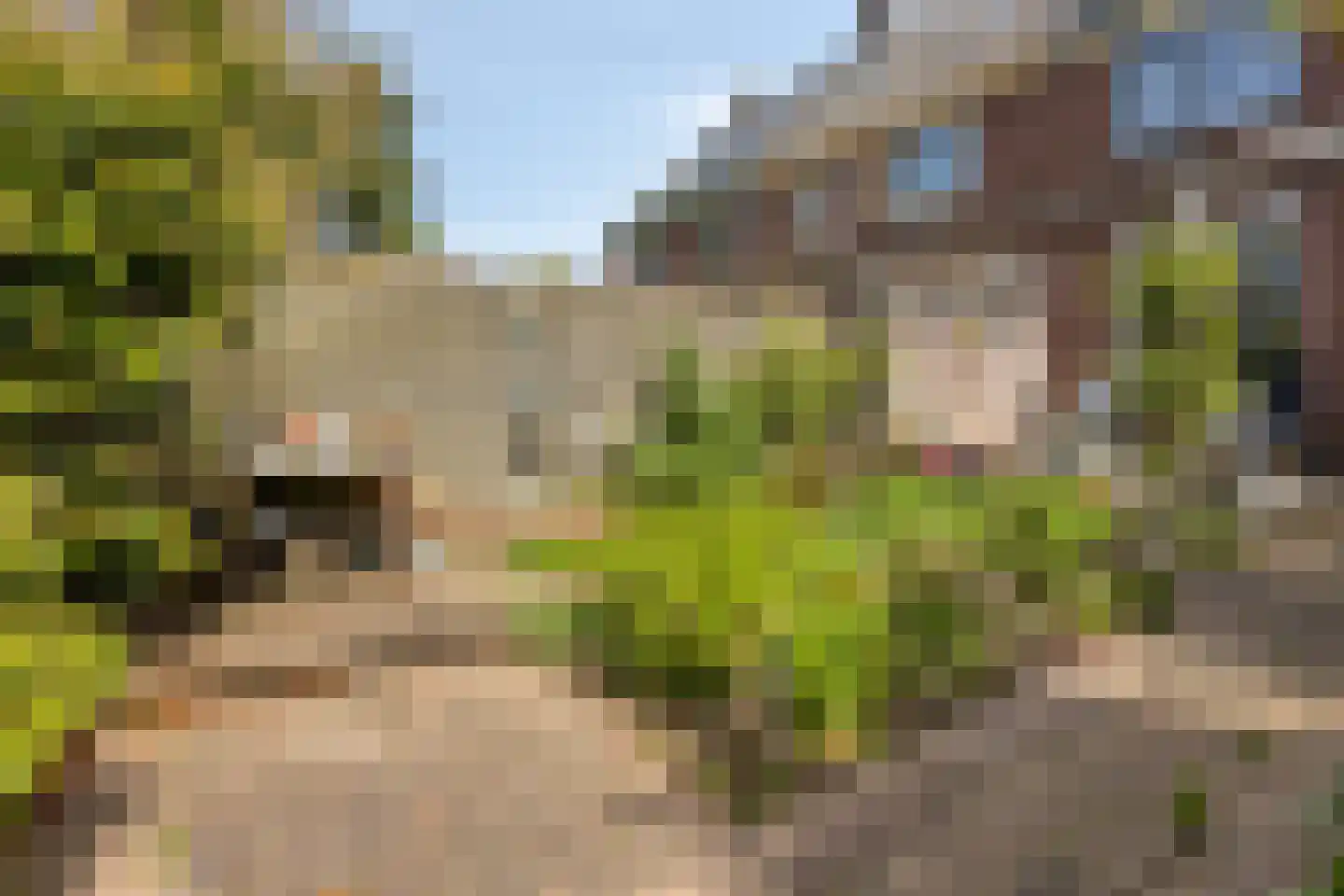 Emmerikseweg 2 c Zutphen thumbnail 39