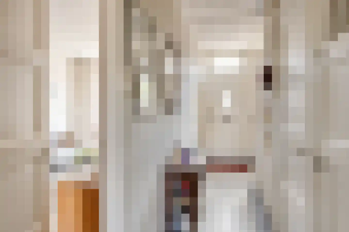 Emmerikseweg 2 c Zutphen thumbnail 6