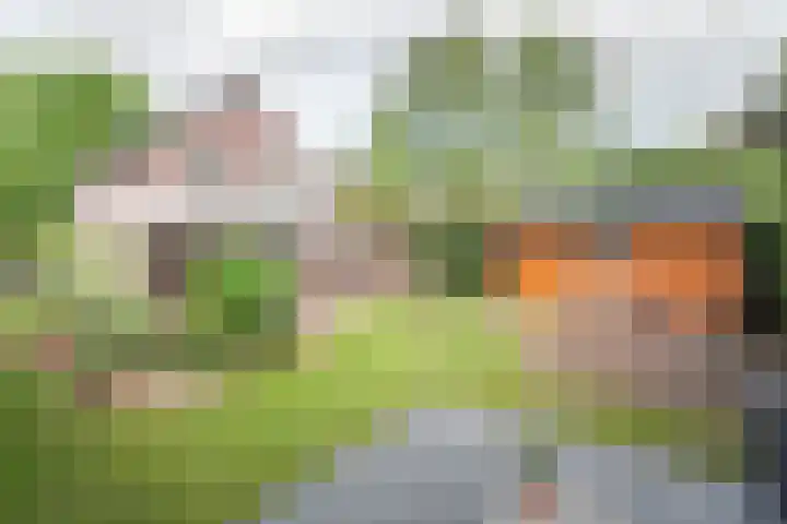 Emmerikseweg 21 Netterden thumbnail 41
