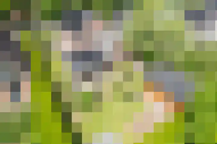 Emmerikseweg 21 Netterden thumbnail 5