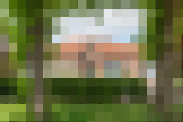 Emmerikseweg 21 Netterden thumbnail 51