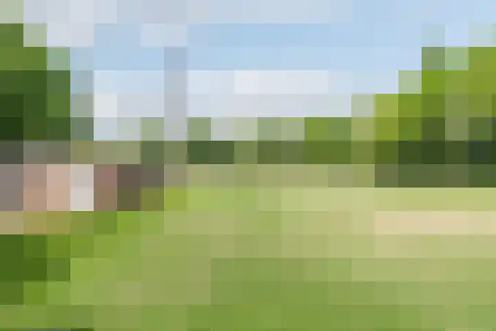 Emmerikseweg 21 Netterden thumbnail 52