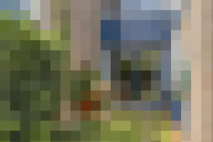 Emmerikseweg 389 Zutphen thumbnail 34