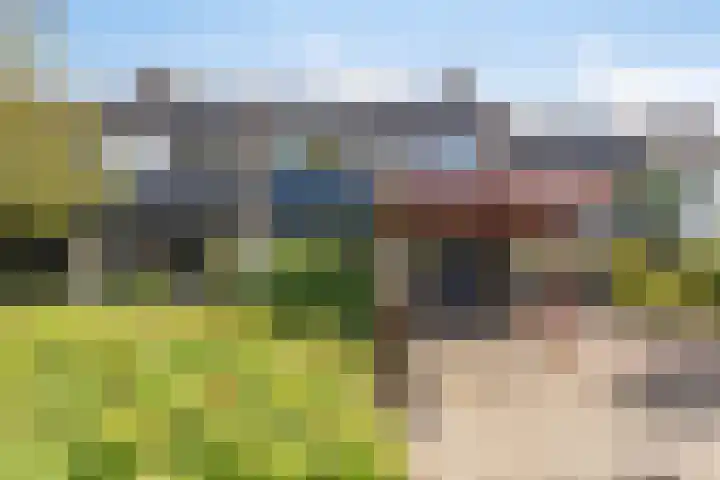 Emmerikseweg 389 Zutphen thumbnail 36