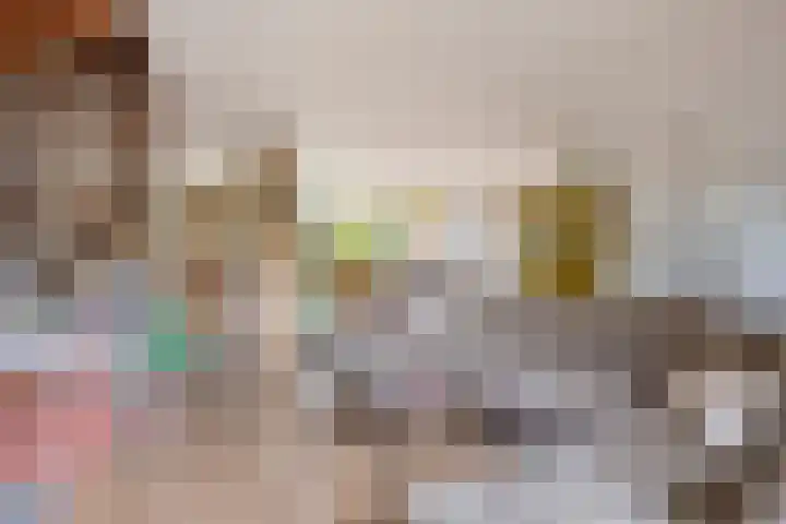 Emmerikseweg 389 Zutphen thumbnail 7