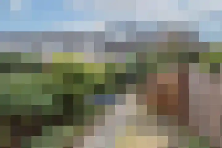 Emmerikseweg 39 b Zutphen thumbnail 25