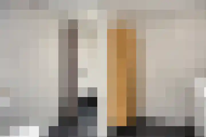 Emmerikseweg 50 Zutphen thumbnail 15