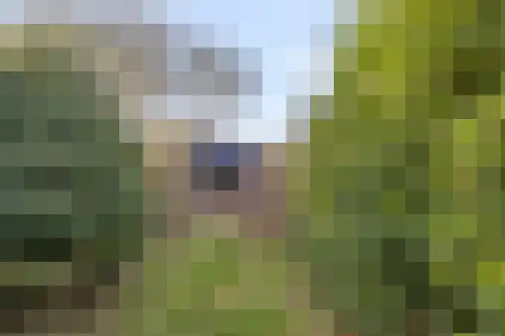 Emmerikseweg 50 Zutphen thumbnail 26