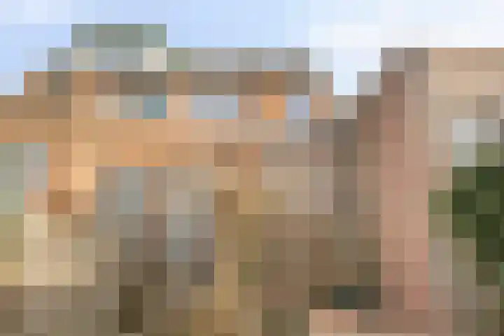 Emmerikseweg 50 Zutphen thumbnail 28