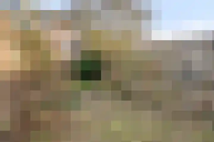 Emmerikseweg 50 Zutphen thumbnail 31