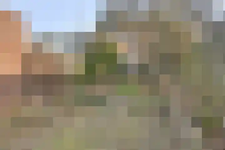 Emmerikseweg 50 Zutphen thumbnail 32