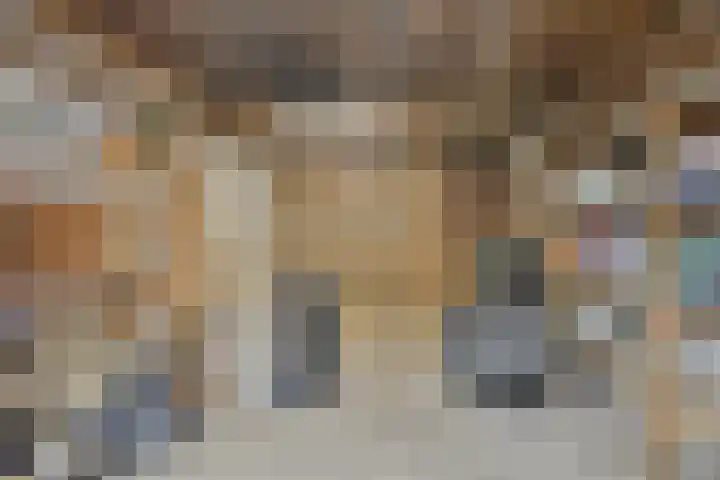 Emmerikseweg 50 Zutphen thumbnail 33
