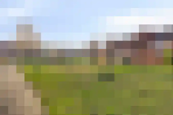 Emmerikseweg 50 Zutphen thumbnail 35