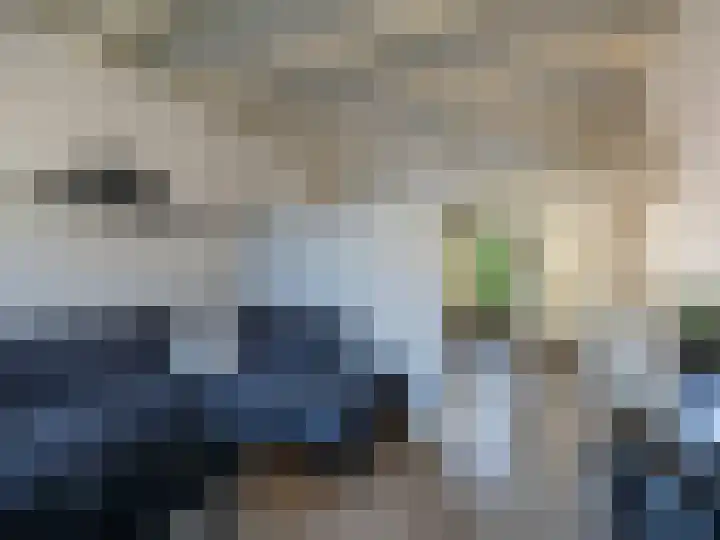 Emmerikseweg 57 Zutphen thumbnail 7