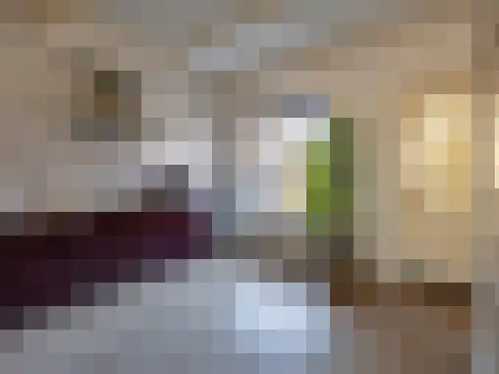 Emmerikseweg 57 Zutphen thumbnail 8