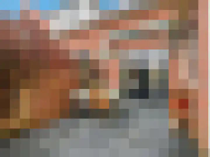 Emmerikseweg 82 Zutphen thumbnail 33