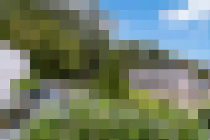 Emmerschans 112 Veenendaal thumbnail 10