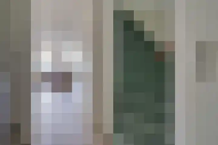 Emmerschans 112 Veenendaal thumbnail 12