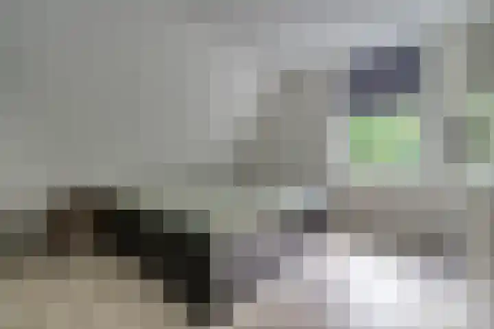 Emmerschans 112 Veenendaal thumbnail 14