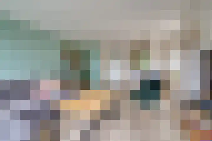 Emmerschans 112 Veenendaal thumbnail 4