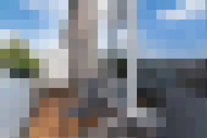 Emmerschans 112 Veenendaal thumbnail 8