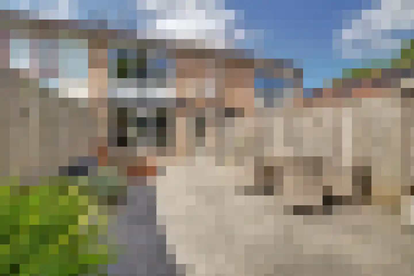 Emmerschans 20 Veenendaal thumbnail 35