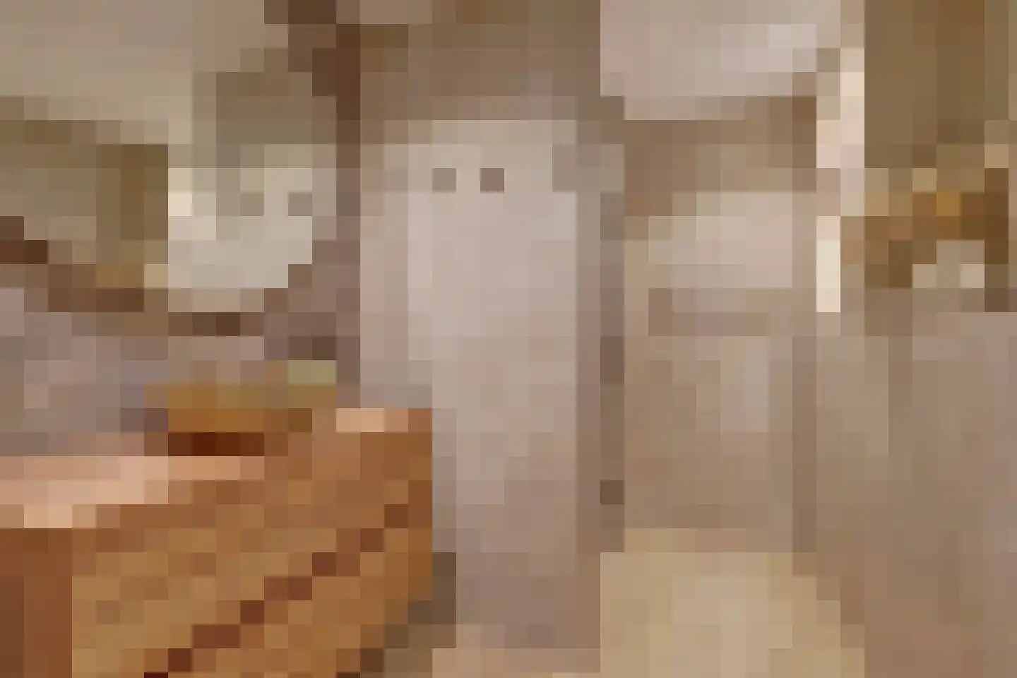 Emmerschans 20 Veenendaal thumbnail 4