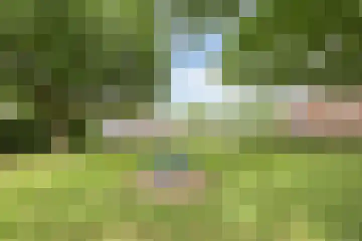 Emmerschans 48 Veenendaal thumbnail 39